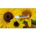 Labello Sun Protect Lip Balm (4.8g) - Waterproof SPF 30 Mineral Oil-Free Lip Care for Sun Protection - Buy Online on GoSupps.com