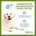 Whimzees by Wellness Puppy Stix - Grain-Free Dental Care Snacks for Medium & Large Puppies (7-14 kg) - 14 Natural Chews (210g) - Buy Online on GoSupps.com