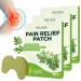 BSOON pain relief paving 30PCs osteoarthritis patches knee warm patch patch herbal pavement wormwood sticker relief of joint complaints for knees back neck and shoulder
