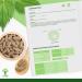 Ortie Bio - Bioptimal - Compl ment Alimentaire - Silicium Organique - Poudre de Feuille Ortie Pure - Articulation Peau Circulation - 250 mg/g lule - Cultiv en France - Certifi Ecocert - 60 g lules 60 unit (Lot de 1) - Buy Online on GoSupps.com