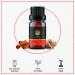 Florona Halloween Fragrance Oil Gift Set - 6 Scents for Aromatherapy - 1 fl oz each - Autumn Wreath, Pumpkin Pie, Candy Corn, Marshmallow, Night Air, Caramel Corn - Buy Online on GoSupps.com