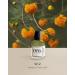 EYFEL Perfumes for Women W2 BERRY Eau de Parfum Spray Women's Fragrances Women's Fragrances EDP 50 ml / 1.76 FL. OZ. - Buy Online on GoSupps.com