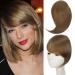 Bangs Hair Clip Synthetic Side Bangs Hair Extensions Clip In Side Bangs Fake Fringe Hairpiece High Temperature Black Blonde False Hair Bangs Clip in Hair (Color : 18I27)