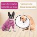 Axcimond Dogs One-Divider Long-Sleeved Dog Bodysuit | Post-Op Wound Protection for Small & Medium Dogs | Anti-Leak Dog Cone Alternative - XL Rose - Buy Online on GoSupps.com