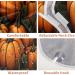 Fall Harvest Pumpkin Beard Bib Apron - Men's Shaving Beard Hair Catcher | Perfect Gifts for Dad & Husband | 2 Suction Cups Included - Buy Online on GoSupps.com