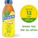 Snapple Naturally Flavoured Lemon Tea 473mL 12-Count (Packaging may vary) Lemon Tea 1 Count (Pack of 12) - Buy Online on GoSupps.com