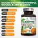 Glucosamine Chondroitin with Turmeric, MSM - Triple Strength Joint Support - 240 Capsules - Buy Online on GoSupps.com
