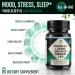 Natural Sleep Aid Supplement for Adults - Non-Habit Forming Herbal Formula with GABA L-Theanine & Reishi - 90 Vegan Capsules - Shop Internationally - Buy Online on GoSupps.com