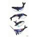 ONCEX Mini 3 Sheets Realistic Whale Temporary Tattoos - Body Painting Stickers for Men and Women - Lower Back, Shoulder, Neck, Arm - 3D Fashion Design - Buy Online on GoSupps.com
