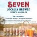 SevenTeas Organic Iced Tea Greatest Hits Variety Pack - 16 OZ (Pack of 12 Cans) - Buy Online on GoSupps.com