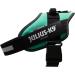 IDC Power Harness Dog Harness - Size L/1 - Grass Green | International Shipping Available - Buy Online on GoSupps.com