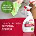 Nature s Miracle Dog Stain & Odor Remover - Enzyme Cleaner with Melon Scent - 946 ml - Effective Pet Odor Neutralizer for International Shipping - Buy Online on GoSupps.com