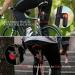 Anti-Theft AirTag Bike GPS Tracker Case | Bike Seatpost Reflector Mount | Compatible with Apple AirTag & Garmin Varia Radar - Mountain Bike/Electric Bicycle/Scooter - Buy Online on GoSupps.com