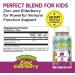KAL Zinc Elderberry ActivMelt - Mixed Berries, 90 Tablets | Immune Support - Buy Online on GoSupps.com