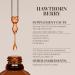 Hawthorn Berry Alcohol-Free Natural Tincture Extract Immune System Booster Liquid Drops Made from 100% Hawthorn Berry (Crataegus spp.) Dried Berry (4 fl oz) 4 Fl Oz (Pack of 1) - Buy Online on GoSupps.com
