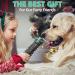 HETOO Indestructible Squeaky Dog Chew Toy for Aggressive Chewers - Large Breed Dental Care Toy in Mix Green - Buy Online on GoSupps.com
