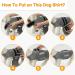 Dog Fear Vest | Anti-Fear Dog Jacket | Stress Relief Shirt for Fireworks Thunder & Travel - Breathable Calming Wrap - Buy Online on GoSupps.com