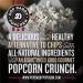 Dill Pickle Gourmet Pop Daddy Popcorn | Hand Seasoned Ruby Red Kernels | Gluten Free Snacks | 5oz Individual Bags | 3 Pack - Buy Online on GoSupps.com