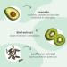 Briogeo Superfoods Avocado & Kiwi 3-in-1 Leave In Conditioner - Hydrate, Detangle, UV Protection | Vegan, Phthalate & Paraben-Free | 5.75 oz - Buy Online on GoSupps.com