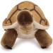 Zappi Co Children's Soft Cuddly Plush Toy Animal - Tortoise (12-15cm) | Perfect Snuggly Playtime Companion for Kids - Buy Online on GoSupps.com