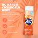 Zest Orange Peel and Maqui Body Wash - Refreshing and Invigorating 16.5 Fl Oz (Pack of 6) - Buy Online on GoSupps.com