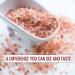 Himalayan Chef Pink Salt Fine Grain 1lb - Pure and Natural | Non-GMO - Buy Online on GoSupps.com