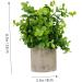 Cabilock 1pc Simulated Potted Plant Green Plants Plastic Rosemary As Shown 22x8cm - Buy Online on GoSupps.com