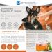 Dermoscent Essential 6 Spot-On for Dogs - Relief from Itching & Allergies | 4 Pipettes | 0-10 kg | Vitamin E Oil - Buy Online on GoSupps.com