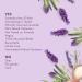 Love Home & Planet Lavender & Argan Oil Dishwasher Detergent Gel - 56 fl oz - Buy Online on GoSupps.com