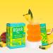Roar Complete Hydration Powder Plus - Electrolyte Packets with Zinc & Elderberry Gluten-Free Non-GMO Pineapple Passion Flavor - 12 Pack - Buy Online on GoSupps.com