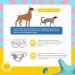 Shop Stylish Dog Sunglasses - UV Protecting Shades for Small Dogs & Pets (Yellow) - Buy Online on GoSupps.com