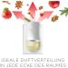 Air Wick Cinnamon & Baked Apple Fragrance Oil Refill - 6 Set Sensual Room Fragrance 114ml - Eco-Friendly Packaging - Buy Online on GoSupps.com