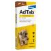 Pass dogs tick and flea protection ( 1.3 to 2.5 kg) chewing tablet quickly kills ticks and fleas and protects a month to give it easy (3 hours p Pack) dog 1.3 - 2.5 kg(3 tablets)