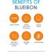 Blueiron Liquid Iron Supplement with Nordic Blueberries | 250ml | Vegan-Friendly Formula with Vitamin C, B12, Folic Acid, Biotin, and Zinc | Gentle & Easily Absorbed - Buy Online on GoSupps.com