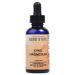 Good State Liquid Ionic Magnesium Ultra Concentrate (10 drops per 50 mg - 100 servings per bottle) 2 Fl Oz (Pack of 1)