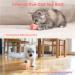 Baytion Interactive Cat Toy Ball with LED Light - USB Rechargeable (Pink) - Buy Online on GoSupps.com