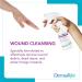 DermaKlenz Wound Cleanser | Mild No Rinse Spray with Zinc Acetate | 8 fl oz Spray Bottle - Buy Online on GoSupps.com