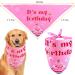 Dog Girl Birthday Party Set: Bandanas, Hat, Scarf, Banner, Balloons & Bowtie - Puppy Dog Pals Decorations - Pink - Buy Online on GoSupps.com
