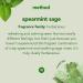 Method Squirt + Mop Hard Floor Cleaner - Spearmint Sage - 25 Fl Oz (Pack of 6) - Buy Online on GoSupps.com