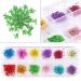 UNIME Nail Art Dried Flowers - 24 Colors Mini Real Natural Flowers for Manicure Decoration - Buy Online on GoSupps.com
