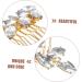 Ipetboom Fashionable Diamond Hair Accessories Hair Barrettes Hair Clips Hair Pin Bridal Headpiece Women Headpiece Sparkly Hair Clip Girl Headpiece Women's Crystal Wedding Comb - Buy Online on GoSupps.com