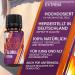 HelloNutrition KETO BURN Globuli EXTREME - Natural Vegan Weight Loss Supplement for Men & Women | Boost Metabolism Fast & Effectively - Buy Online on GoSupps.com