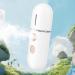 Humidificateur portatif Nano pulv risateur visage - spray rafra chissant portable vaporisateur silencieux pour hydratation du visage soin de la peau maison et voyage Blanc - Buy Online on GoSupps.com