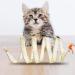 2pcs Folded Cat Tunnel Spring 10in Large Size Portable Cat Toy Spiral Tunnel with Synthetic Feather and Toy Mouse Tunnel Spring Outdoor Puppy Kitten Generic (Striped yellow Purple) - Buy Online on GoSupps.com