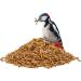 Paul's Mill Dried Mealworms - Protein-Rich Treats for Hedgehogs Hamsters Pond Fish & Birds - 1kg Pack - Buy Online on GoSupps.com