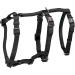 Buy Trixie Stay L-XL Dog Collar (75-100cm 25mm) - Black | International Shipping Available - Buy Online on GoSupps.com