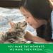 Fresh Breath by TropiClean No Brushing Clean Teeth Gel for Cats 2oz | Made in USA - Buy Online on GoSupps.com