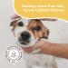 Natural Dog Company Sensitive Skin Shampoo (12 oz) - Aloe Vera & Oatmeal | Soothes Itchy Skin | Hypoallergenic & Paraben-Free | Hydrating & Healing Formula - Buy Online on GoSupps.com