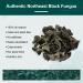 Soeos Premium Dried Black Fungus 7oz - Compressed Woodear Mushroom - Pack of 1 - Buy Online on GoSupps.com