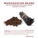 Slofoodgroup Madagascar Vanilla Bean Powder 0.5 oz - Premium Grade A Ground Vanilla Beans for Cooking, Baking, Ice Cream - 1 Pack - Buy Online on GoSupps.com